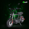iScooter DX5